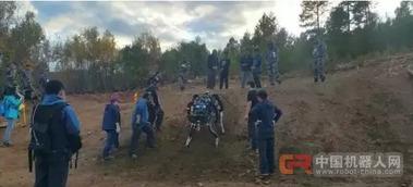 国产野外,国产野外探险之旅